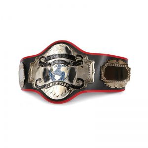 Championship Belt