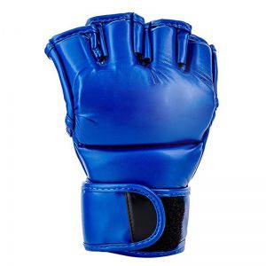 MMA Gloves