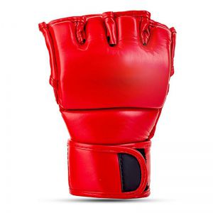 MMA Gloves