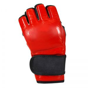 MMA Gloves