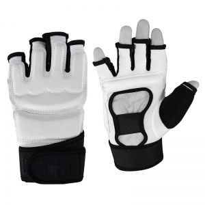 TaeKwondo Gloves