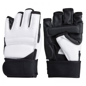 TaeKwondo Gloves