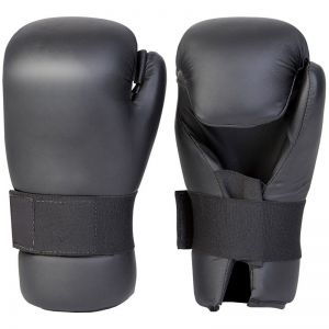 TaeKwondo Gloves