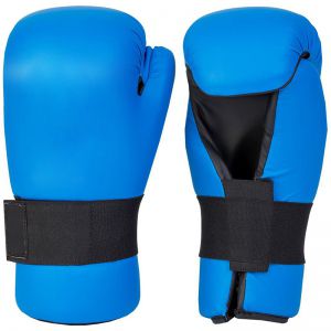 TaeKwondo Gloves